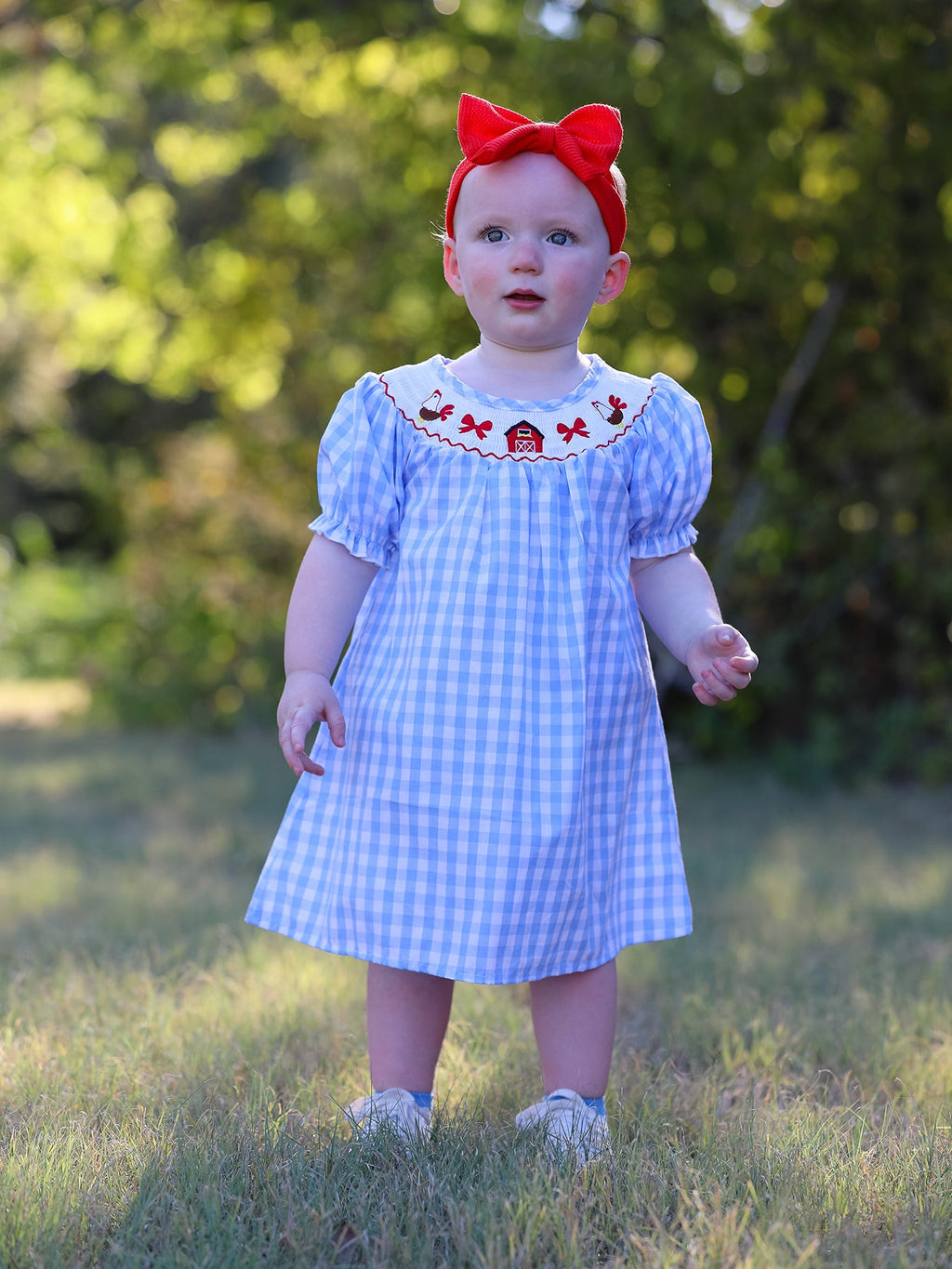 Ellie - Farm Blue Embroidered Girls Dress